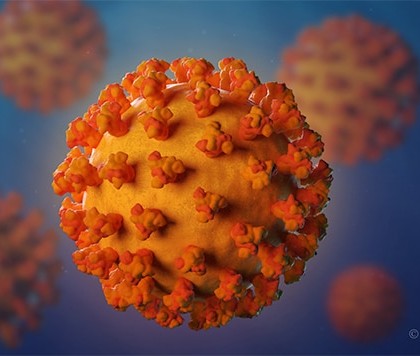 Coronavirus